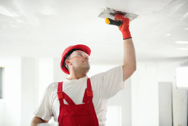 Best Drywall Removal and Disposal  in Chatfield, MN